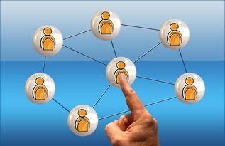 ac米兰官网-世界足球推广：南南合作助力新兴市场崛起，南亚足球强国