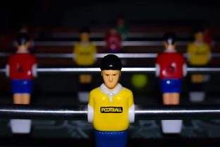 ac米兰官方网站-世界足球赛事的多彩幕后：球迷、志愿者的故事，足球志愿者招募