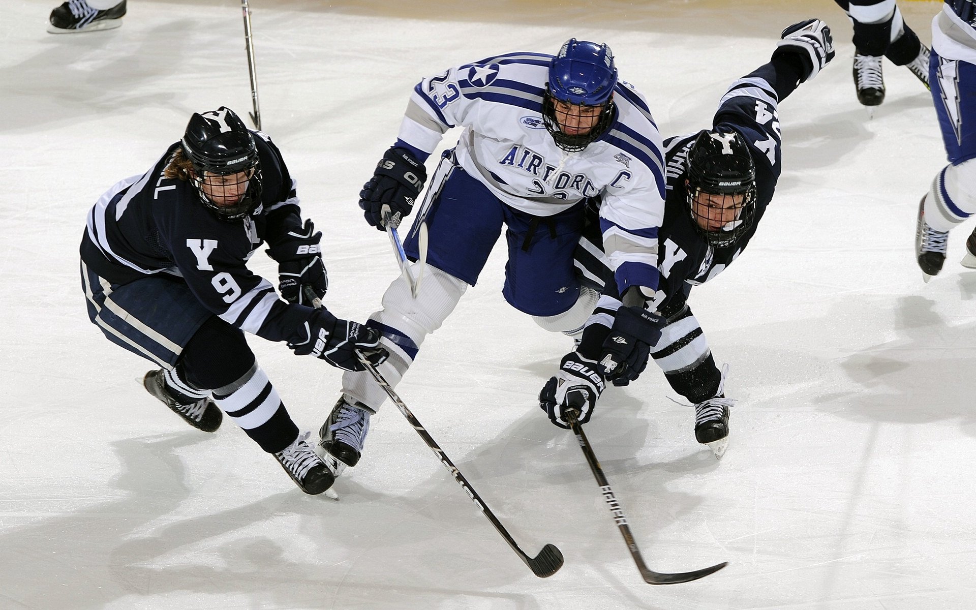 NBA明星球员最新动态